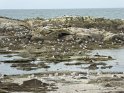2017-09-30 14-46-14 Circuit Batz sur mer et Le Croisic MBo